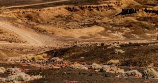 贾迈·辛普森-普西今日将飞赴德国，从曼城租借加盟科隆足球俱乐部直至本赛季结束。 [via @CharlieGordonSJ] 来源：City Xtra