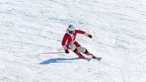 详解棒球规则中的球棒材质规定为什么枫木逐渐取代白蜡木成为主流